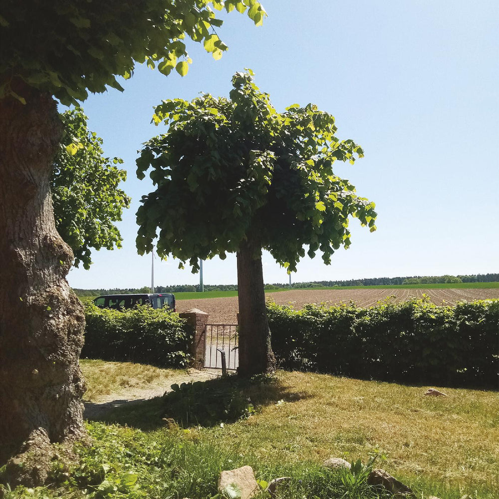 Sigtryggur Berg Sigmarsson - Into the Second Half [Vinyl] (ONLINE ORDER ONLY)