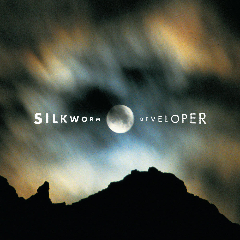 Developer (Deluxe Edition) [Vinyl]