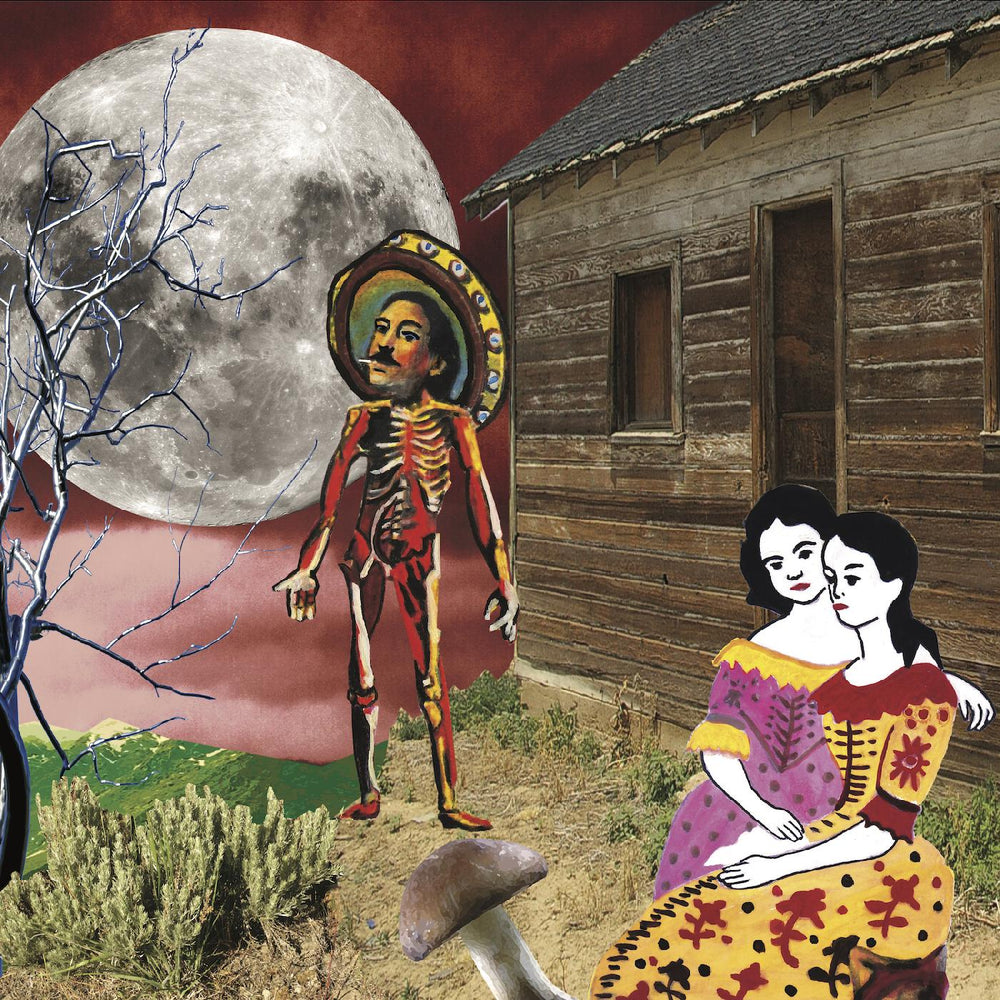 In The West [Vinyl] (ONLINE ORDER ONLY)