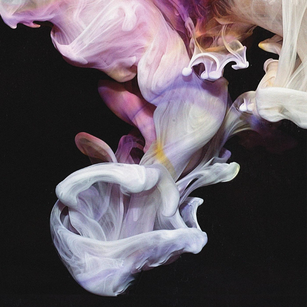 Murmurations [Vinyl]