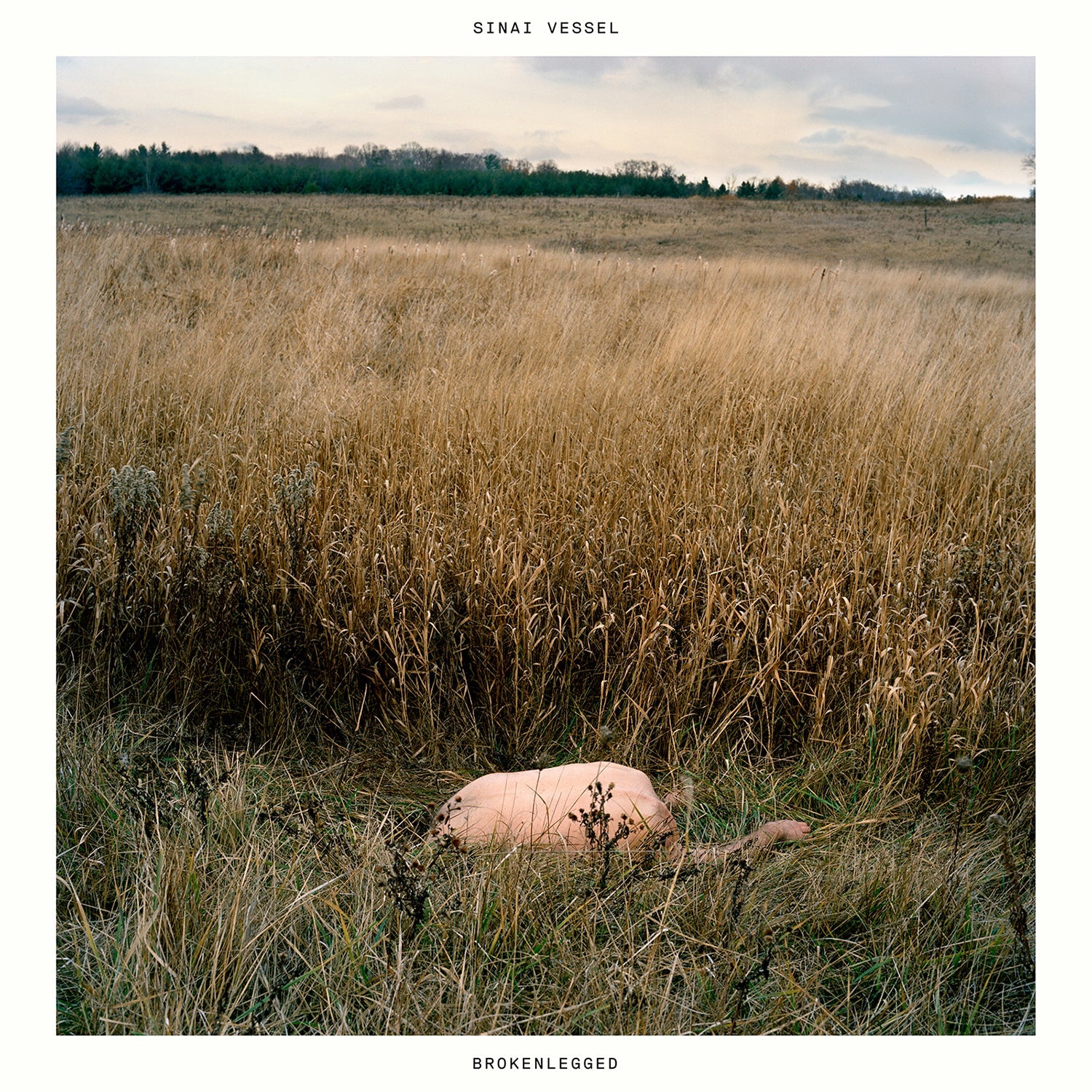 Brokenlegged [CD] (ONLINE ORDER ONLY)
