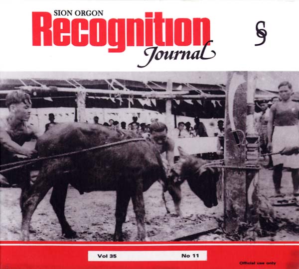 Recognition Journal [CD]