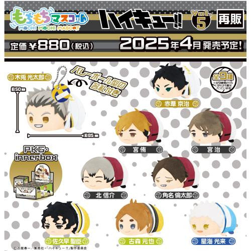 Haikyuu!! Mochi Mochi Mascot Vol.5 Blind Box – SK Japan (ONLINE ORDER ONLY)