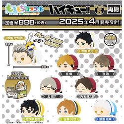 Haikyuu!! Mochi Mochi Mascot Vol.5 Blind Box – SK Japan (ONLINE ORDER ONLY)