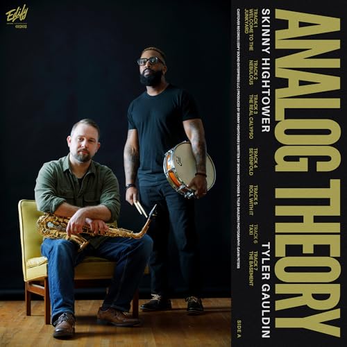 Analog Theory [Vinyl] (ONLINE ORDER ONLY)