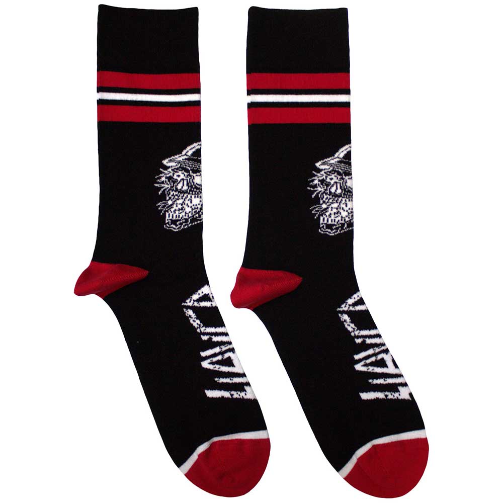 Skull Helmet [Socks] (ONLINE ORDER ONLY)