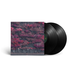 Even In Arcadia (2LP) [Vinyl] (ONLINE ORDER ONLY)