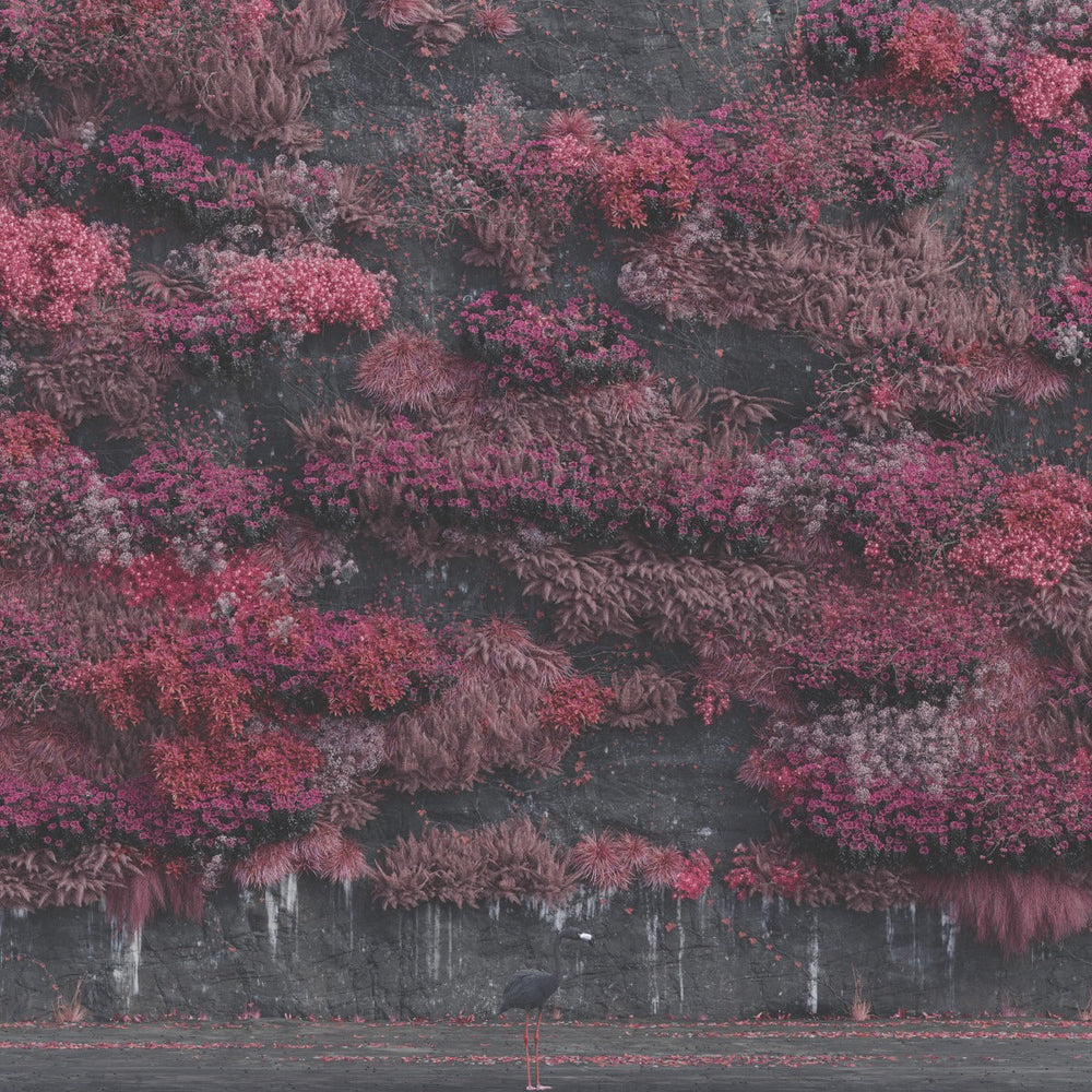 Even In Arcadia (CD) [CD] (ONLINE ORDER ONLY)