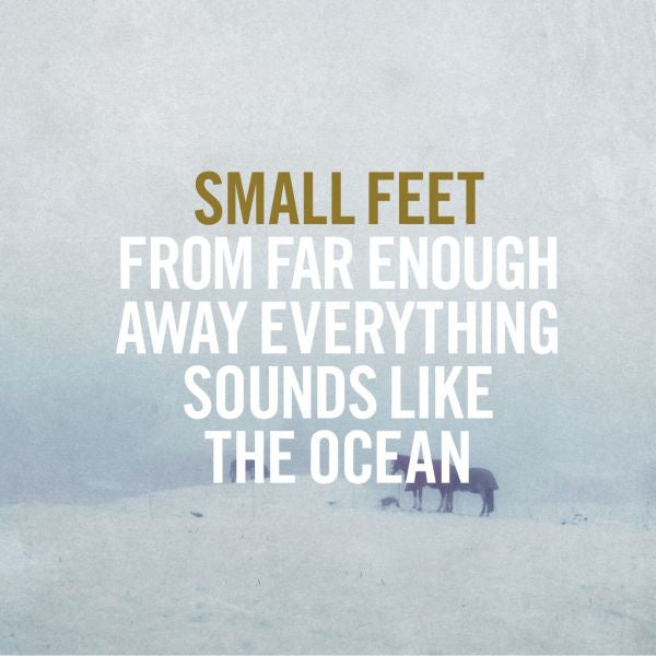 From Far Enough Away Everything Sounds Like The Ocean [Vinyl]