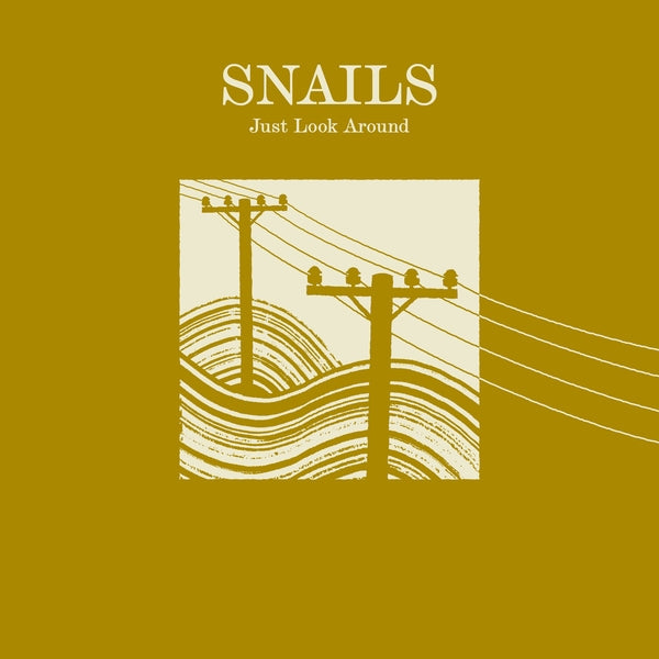 Just Look Around [Vinyl] (ONLINE ORDER ONLY)