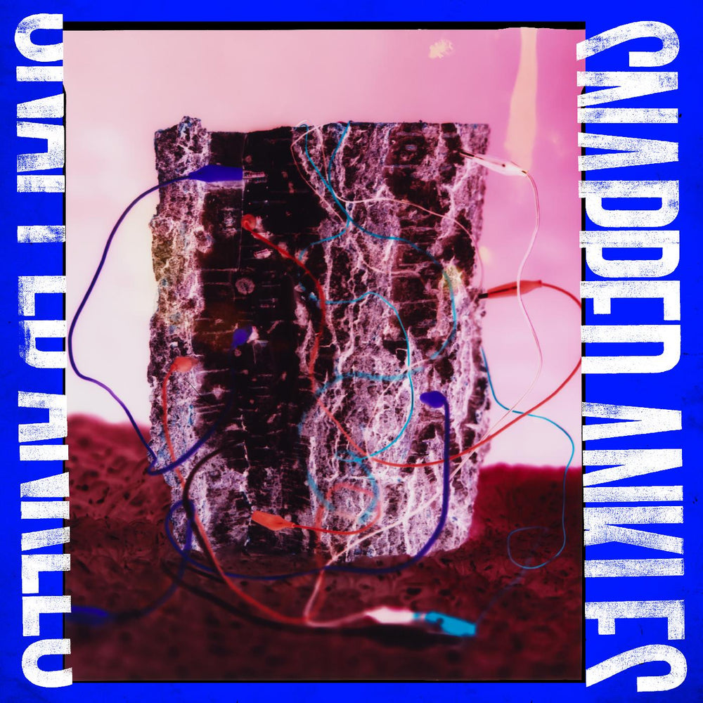 Forest Of Your Problems [CD]