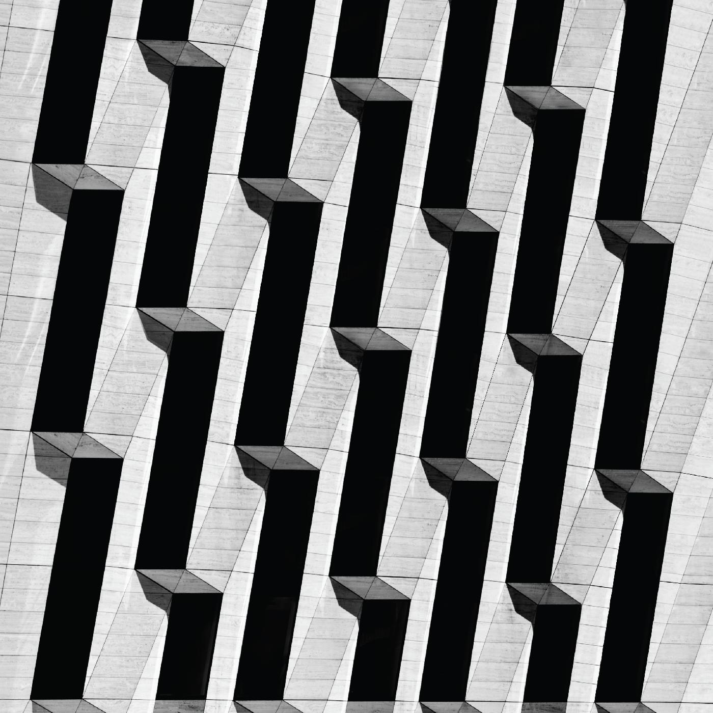 Snow Palms - Everything Ascending [Vinyl] (ONLINE ORDER ONLY)