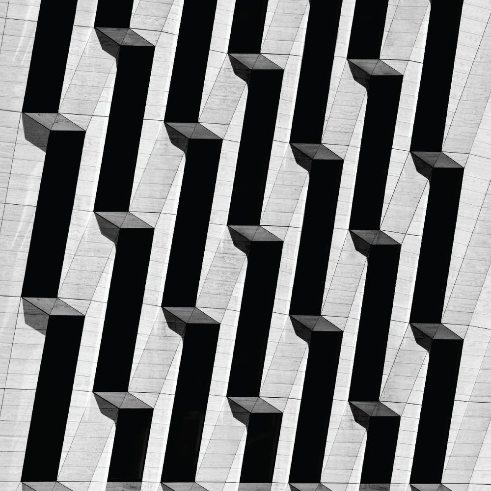 Snow Palms - Everything Ascending [Vinyl] (ONLINE ORDER ONLY)