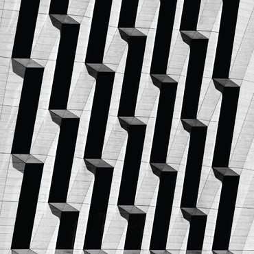 Snow Palms - Everything Ascending [Vinyl] (ONLINE ORDER ONLY)