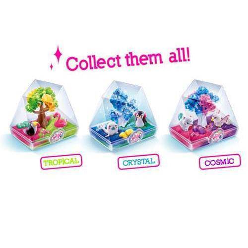 So Magic DIY - Medium Size Terrarium Kit - Choose a pack (Online Order Only)