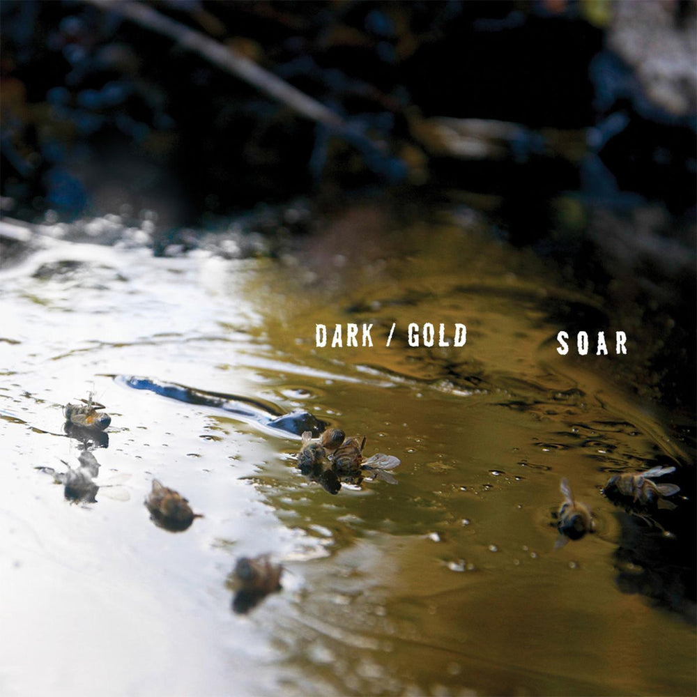 SOAR - dark / gold [Vinyl]