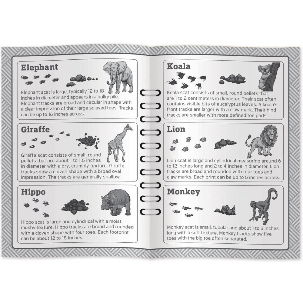 Jr. Zookeeper Poop Tracks Card Game