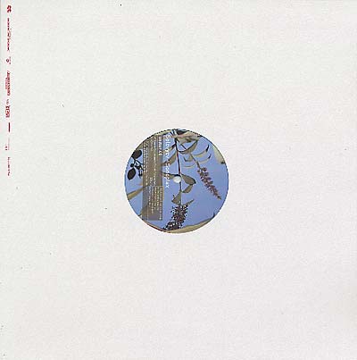 SOLOVYEV - Sonoplex [Vinyl] (ONLINE ORDER ONLY)