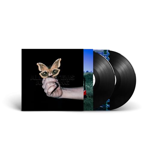 All Systems Are Lying [2Lp] [Vinyl] (ONLINE ORDER ONLY)
