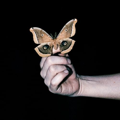 All Systems Are Lying [CD] (ONLINE ORDER ONLY)