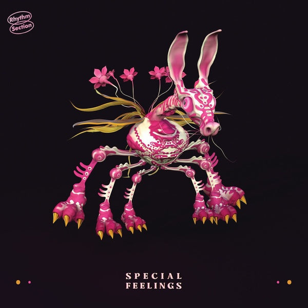SPECIAL FEELINGS - Special Feelings [Vinyl] (ONLINE ORDER ONLY)