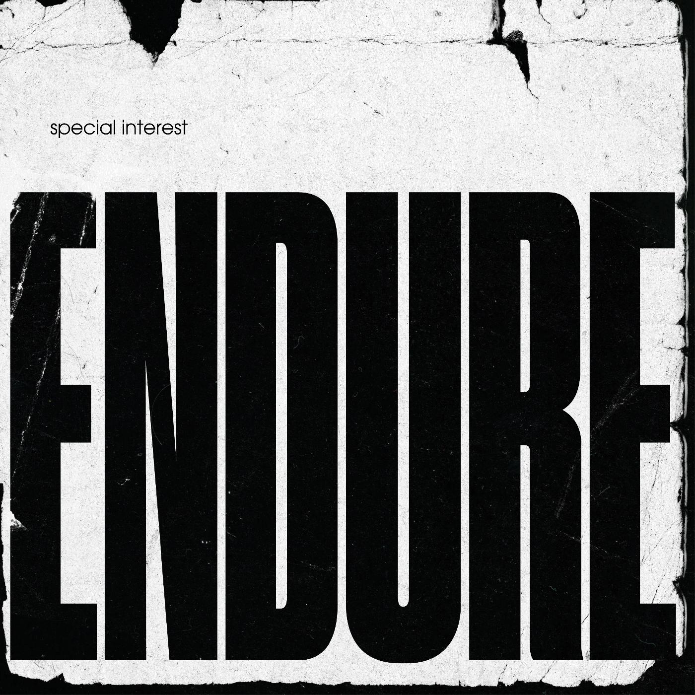 Endure [Vinyl] (ONLINE ORDER ONLY)