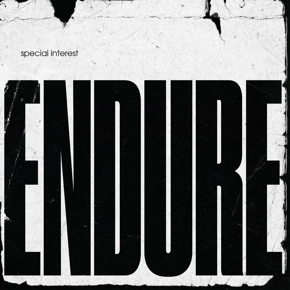 Endure [Vinyl] (ONLINE ORDER ONLY)