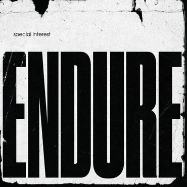 Endure [Vinyl] (ONLINE ORDER ONLY)