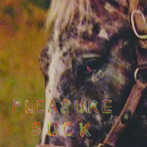 Pleasure Suck (TRANSPARENT ORANGE VINYL) [Vinyl]