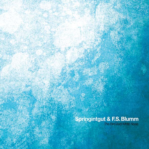 SPRINGINTGUT & F.S. BLUMM - The Bird and White Noise [Vinyl] (ONLINE ORDER ONLY)