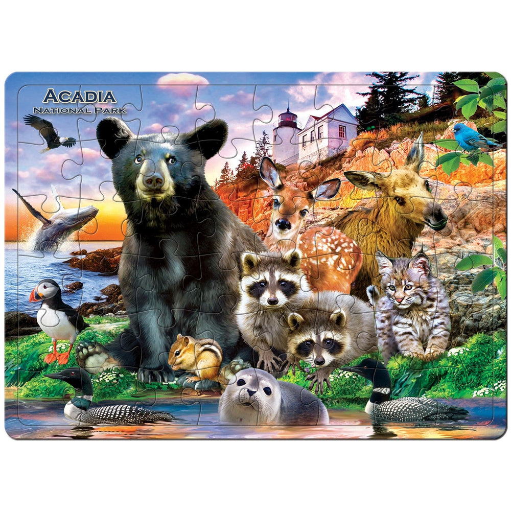 Acadia National Park 48 Piece Tray Puzzle (ONLINE ORDER ONLY)