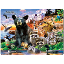 Acadia National Park 48 Piece Tray Puzzle (ONLINE ORDER ONLY)