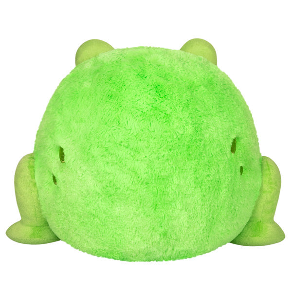 Squishable Frog (Standard) (ONLINE ORDER ONLY)