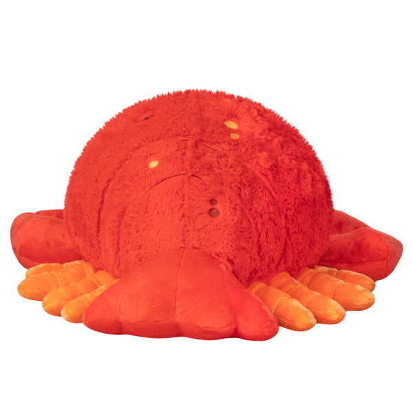 Squishable Lobster (Standard) (ONLINE ORDER ONLY)