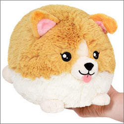 Squishable Baby Corgi (Mini) (ONLINE ORDER ONLY)