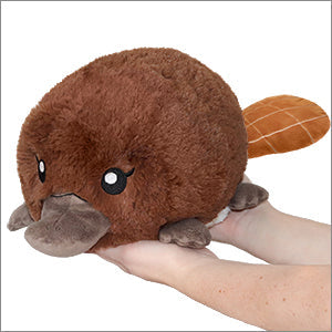 Squishable Baby Platypus (Mini) (ONLINE ORDER ONLY)