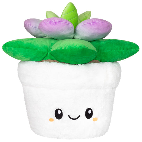 Squishable Succulent (Standard) (ONLINE ORDER ONLY)