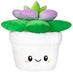 Squishable Succulent (Standard) (ONLINE ORDER ONLY)