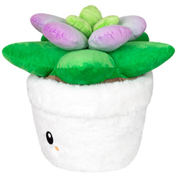 Squishable Succulent (Standard) (ONLINE ORDER ONLY)
