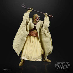 Star Wars The Black Series Archive 50th Anniversary - 6-Inch Action Figure - Select Figure(s) (Online Order Only)