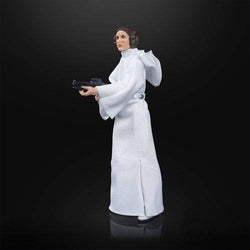 Star Wars The Black Series Archive 50th Anniversary - 6-Inch Action Figure - Select Figure(s) (Online Order Only)