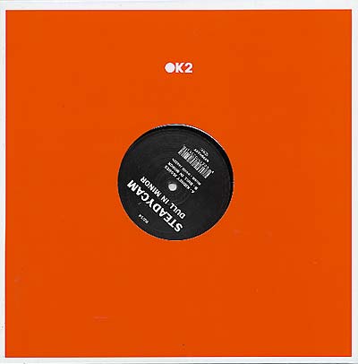 STEADYCAM - Dull In Minor [Vinyl]