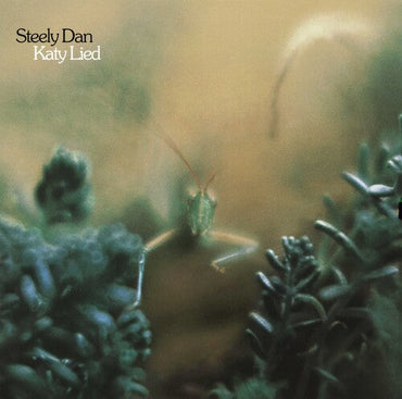 Katy Lied (180 Gram Vinyl) [Vinyl] (ONLINE ORDER ONLY)