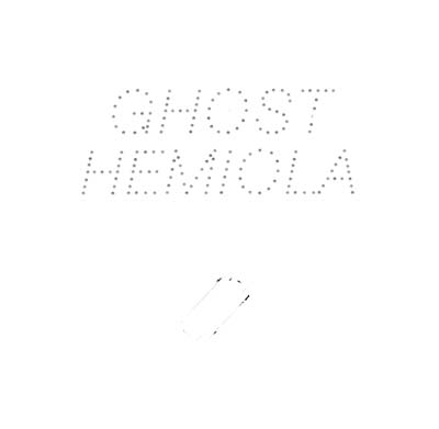 STEFAN GOLDMANN - Ghost Hemiola [Vinyl]