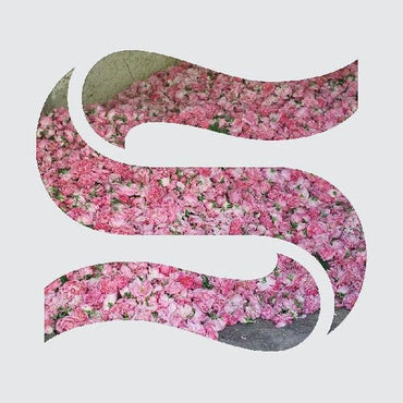 Step by Step [EP] [Vinyl] (ONLINE ORDER ONLY)