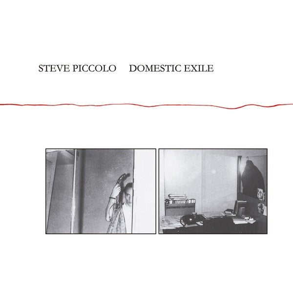STEVE PICCOLO - Domestic Exile [CD] (ONLINE ORDER ONLY)