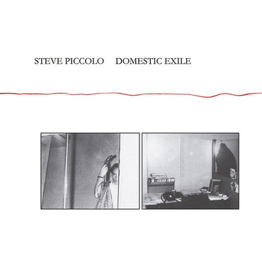 STEVE PICCOLO - Domestic Exile [CD] (ONLINE ORDER ONLY)