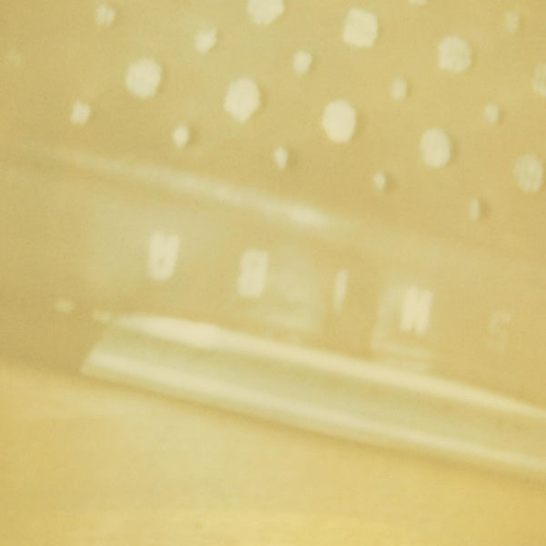 STEVE RODEN - The Radio/Airria (Hanging Garden)/Vein Stem Is Calm [CD] (ONLINE ORDER ONLY)