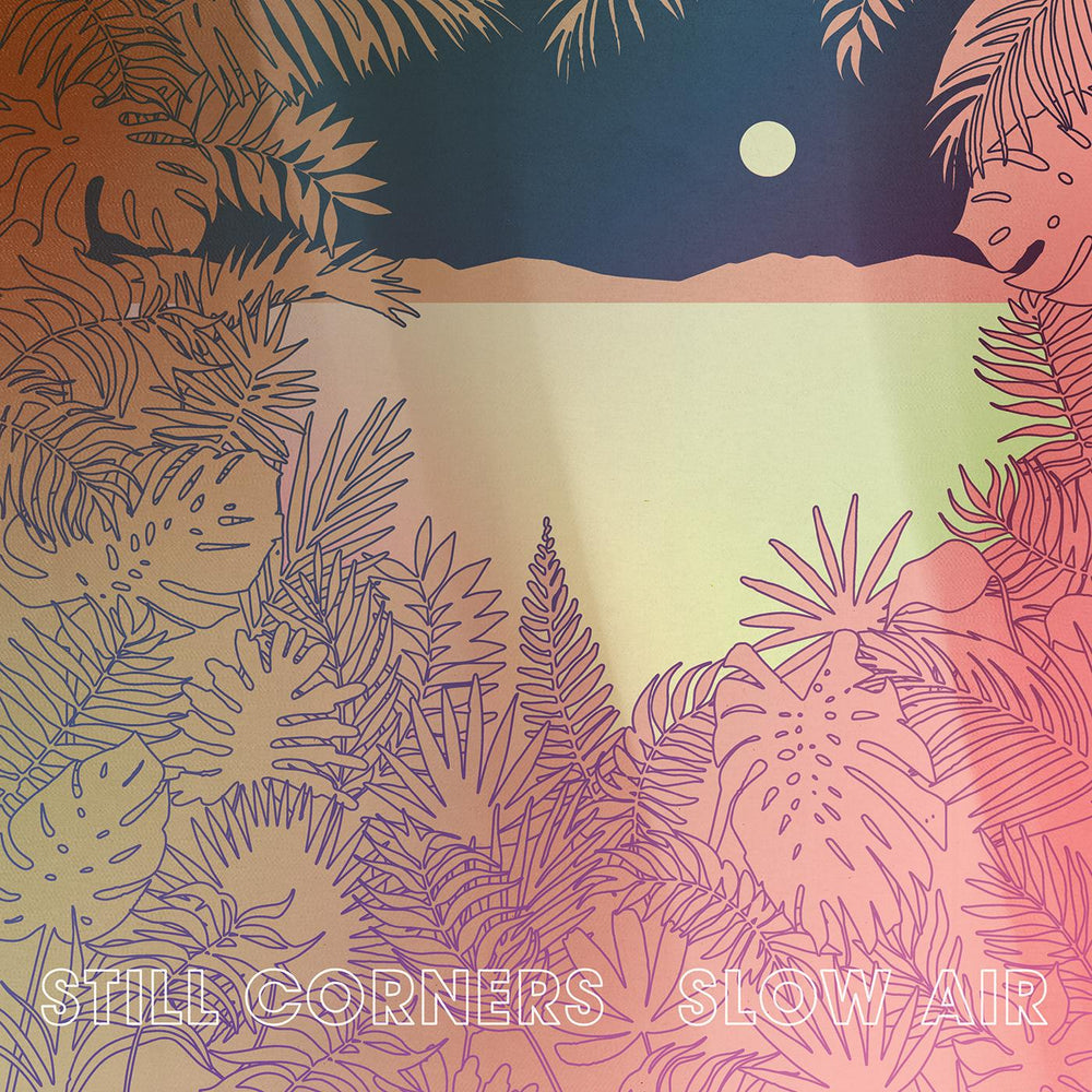 Slow Air [Vinyl]