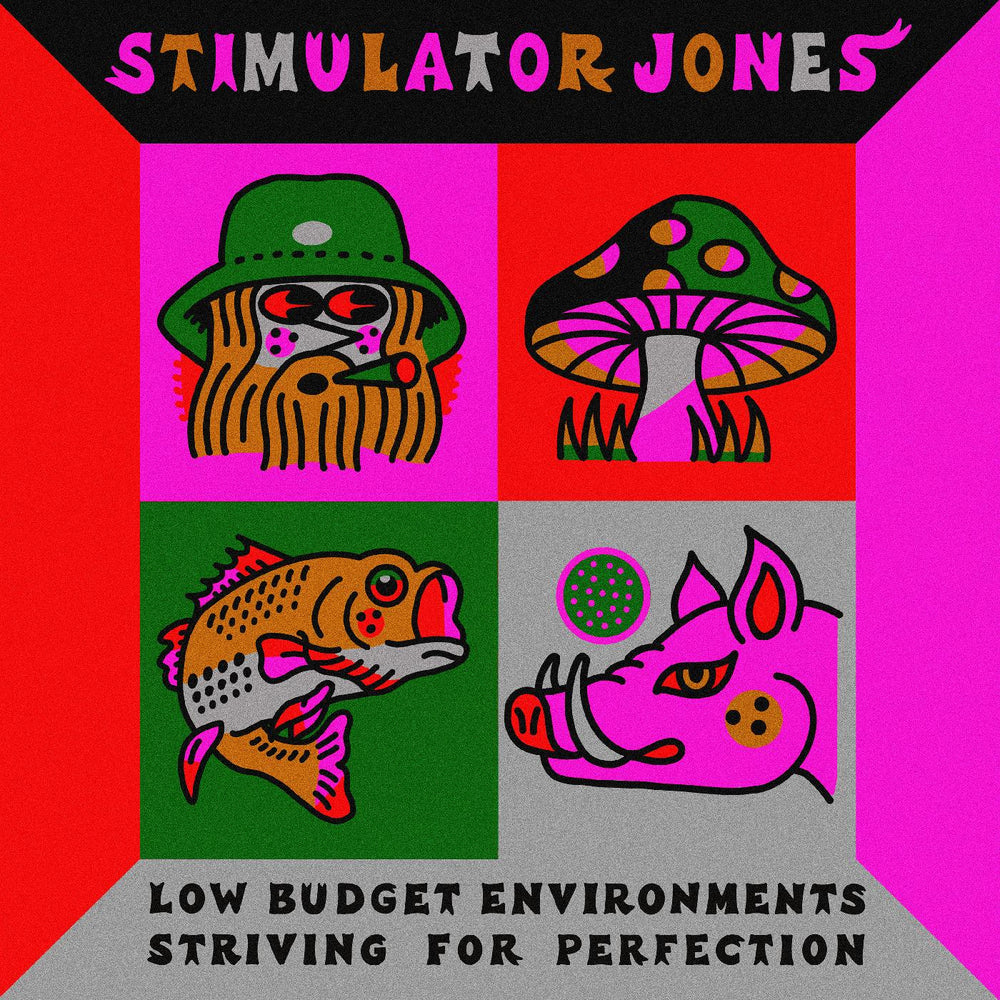 Low Budget Environments Striving For Perfection [Vinyl] (ONLINE ORDER ONLY)